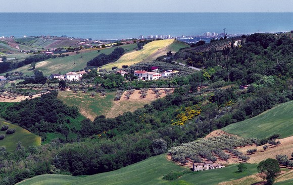 azienda agricola persiani580e