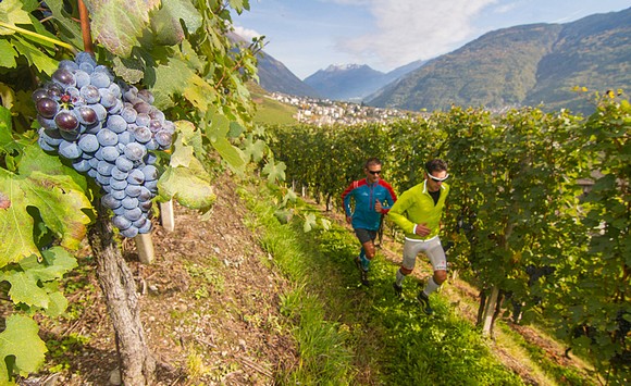 Valtellina Wine Trail580