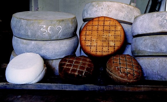 Carnia formaggi formandi sapori e formaggi di montagna580a
