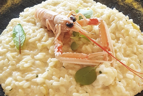 risotto 600