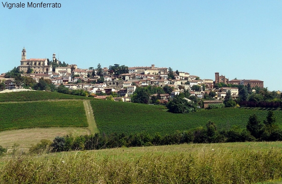 Vignale Monferrato-panorama 570