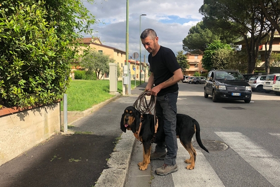 Dog Sport Experience ai Lidi di Comacchio 2 570
