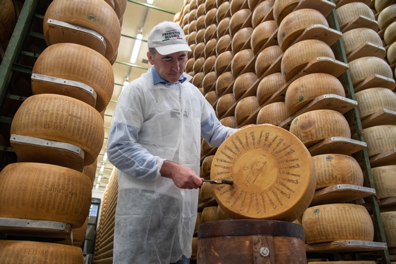 La battitura del Parmigiano Reggiano foto di Francesca Bocchia credit Parma2064 570