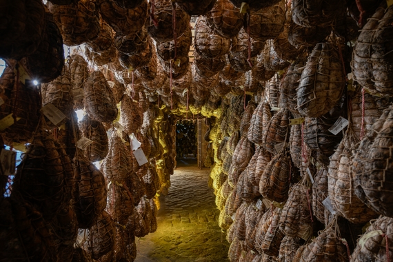 Museo del Culatello Antica Corte Pallavicina di Polesine Parmense PR foto di Luca Rossi 570