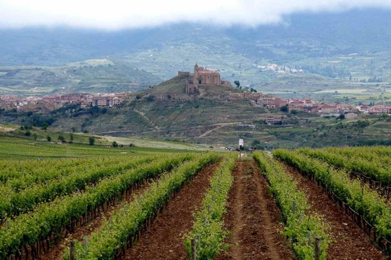 Museo del vino penisola iberica 570