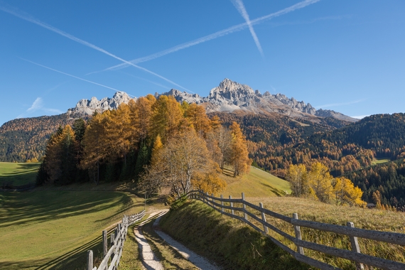 Val dEga - Foliage 1 570