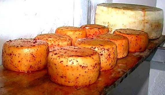 formaggi calabresi 570