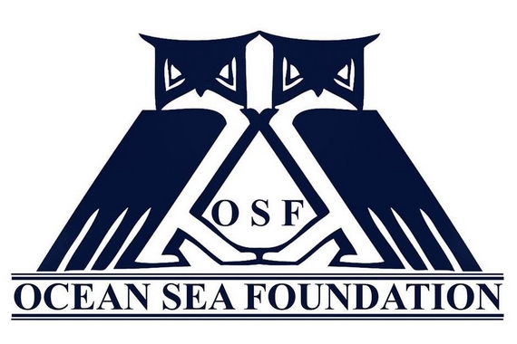 ocean sea foundation 570