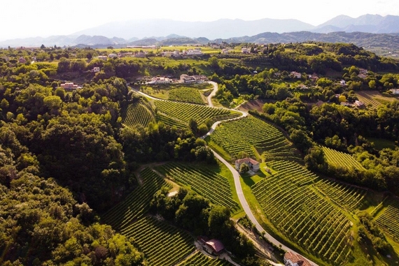 vigneti ca del poggio 570