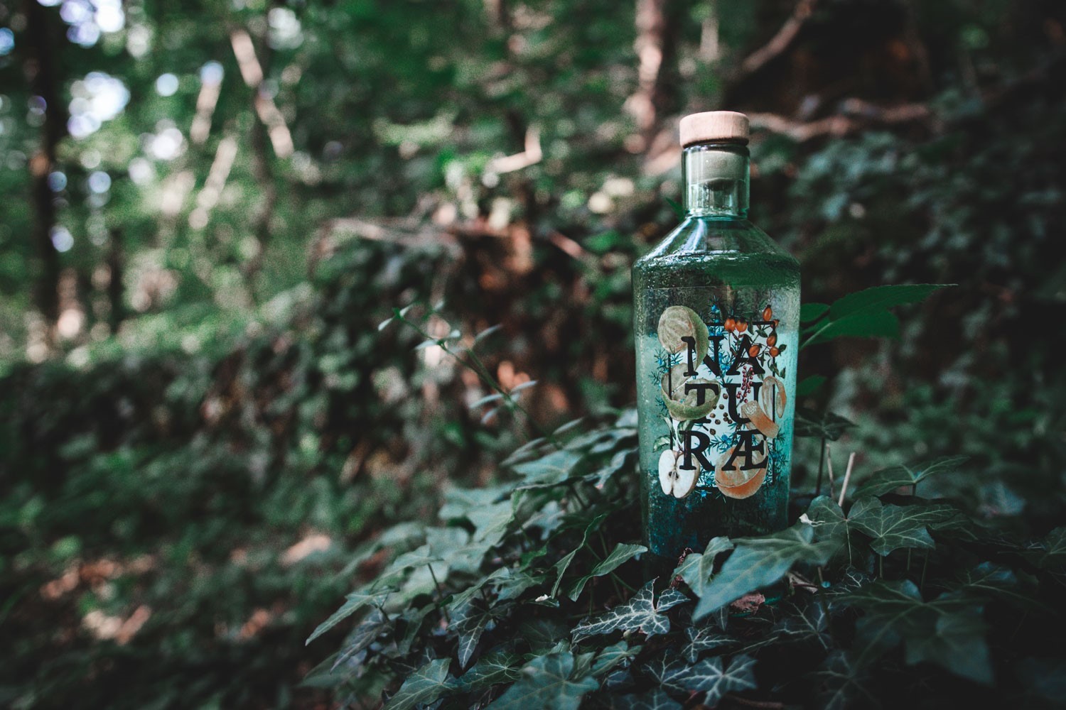 Natur-Gin Bottiglia-nel-sottobosco 1500px