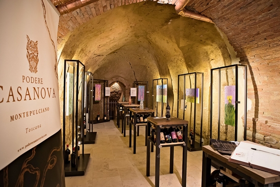 Podere Casanova Wine Art Shop 3 570