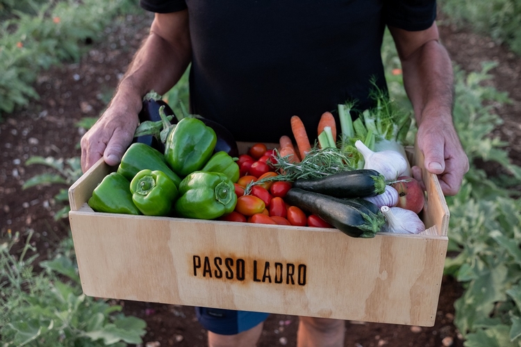 Passo Ladro - Cassetta verdura 750