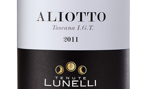 Aliotto580