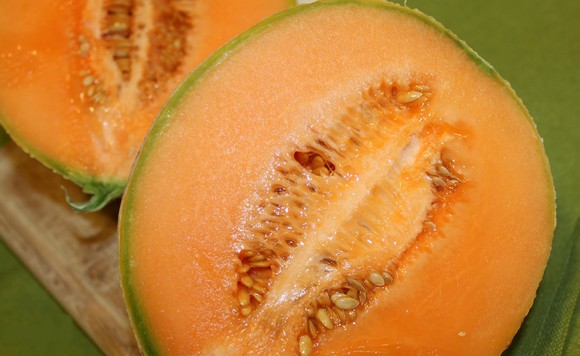 Melone-Mantova580