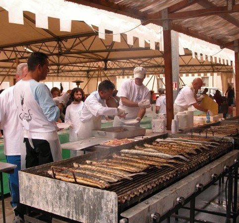sagra anguilla