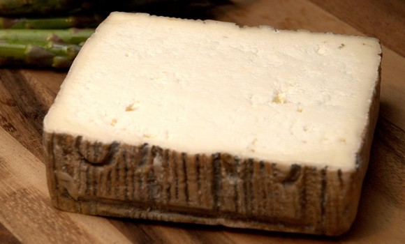 salva crema tav 580
