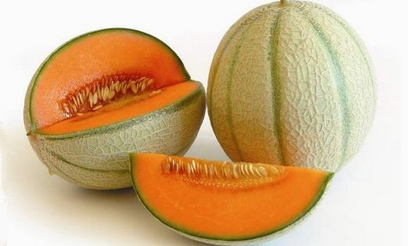 melone mantovano580a