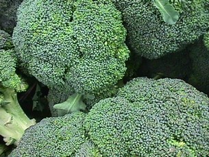 broccoli300