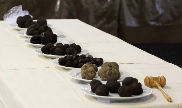 tartufi truffle co