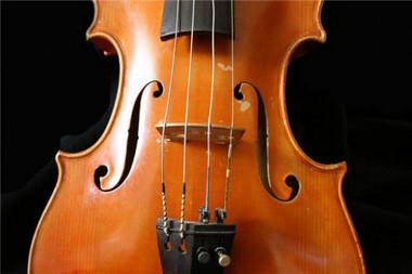 violino