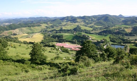 vitellone bianco appennino centrale580c