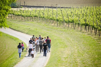 01 Franciacortando passeggiata