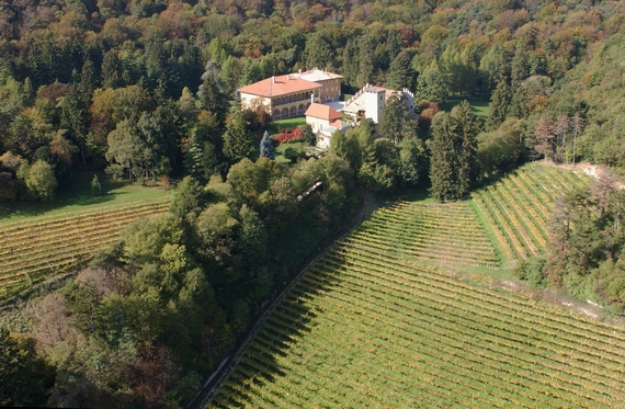 1Veduta aerea Villa Margon - aerea vigneto 2