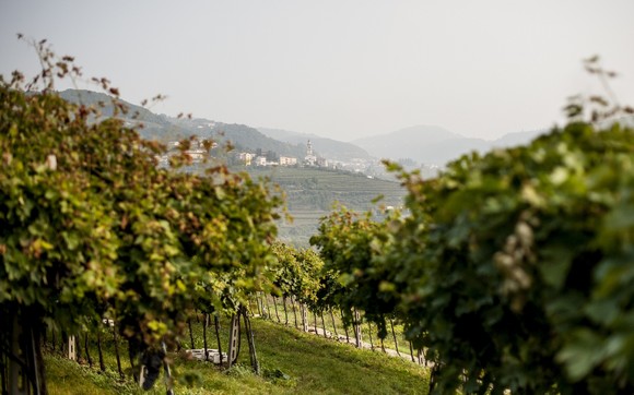 100x100 tour valpolicella amarone580