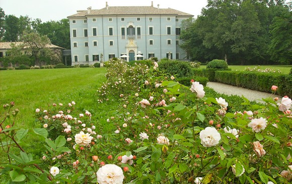 De-Gustibus-Villa-MAlenchini580