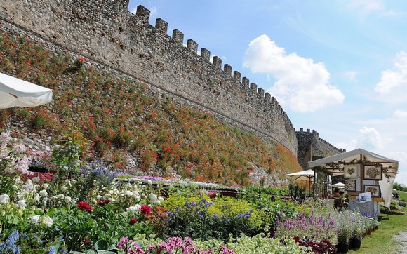 Lonato - Fiori nella Rocca580