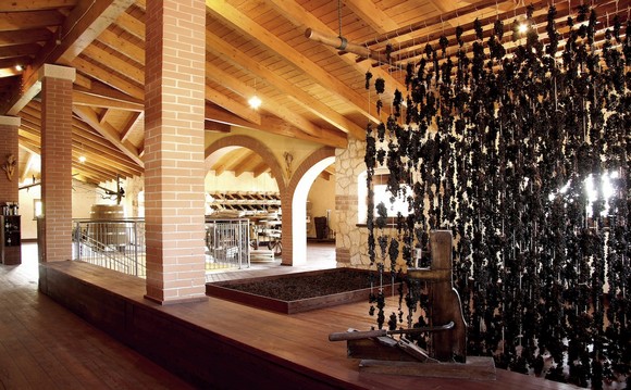 Museo appassimentoCantinaValpolicellaNegrar580