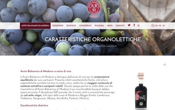 NUOVO SITO WEB ACETO BALSAMICO DI MODENA IGP580