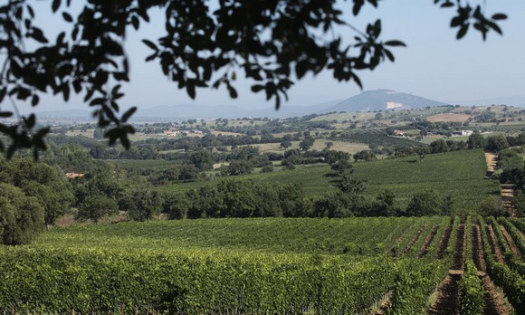 annas secret val di toro580a