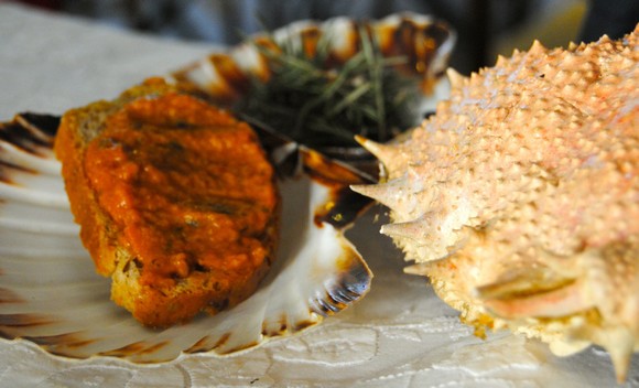 crostino taste elba aperitivi gourmet580