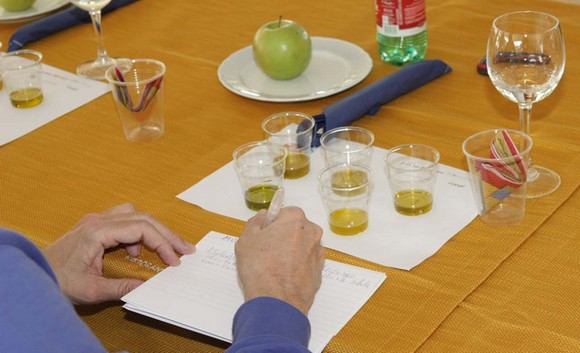 degustazione ponte sensoriale580