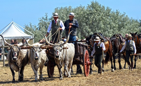 game fair grosseto580