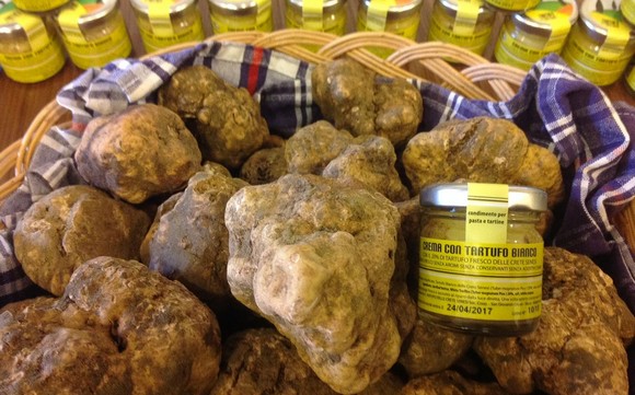 mostra mercato tartufo bianco crete senesi 2015