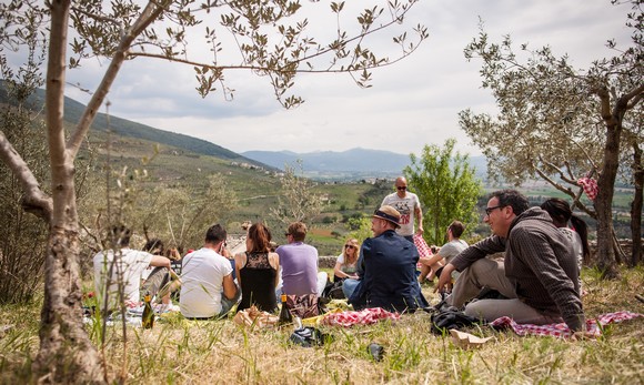 pic  nic trevi 580
