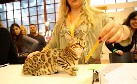quattrozampeinfiera Milano Parco Esposizioni Novegro580