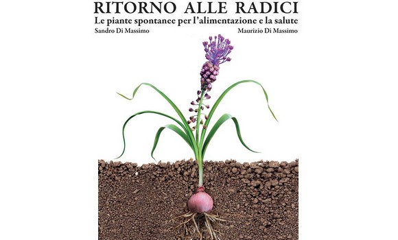 ritorno alle radici580