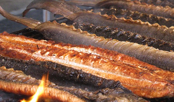 sagra anguilla comacchio580
