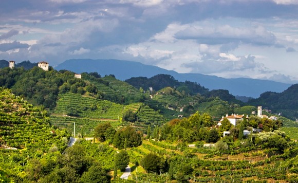 tenuta san mor580