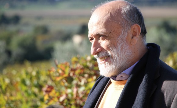 CarloPetrini Suvereto Ezio Zigliani580