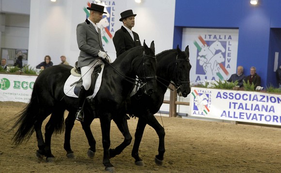 Fieracavalli-2015A