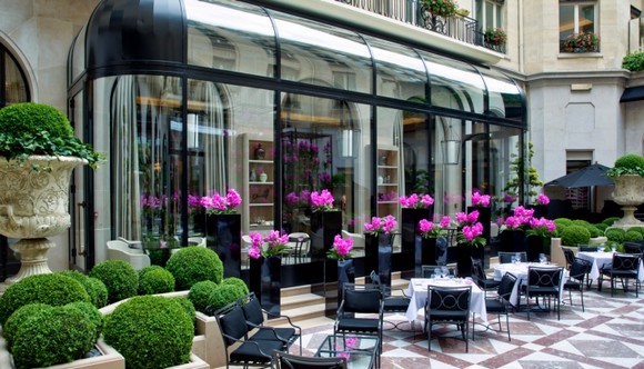 orangerie hotel george v paris580