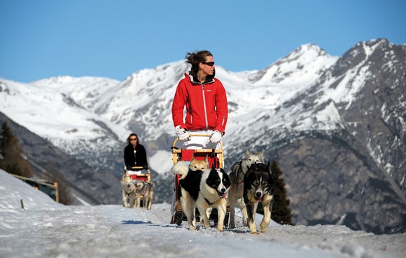 Valtellina in bianco Sleedog580