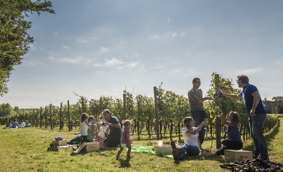 festival-franciacorta-in-cantina580
