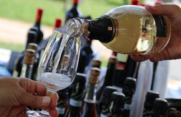 festival della malvasia sala baganza580