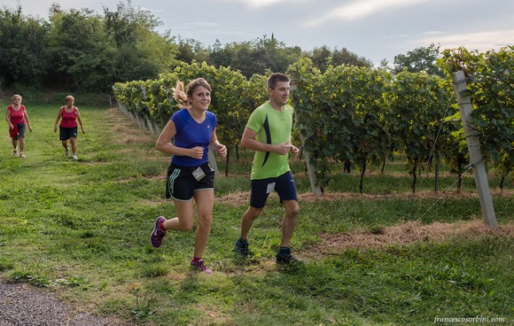 magnalonga settembrina negrar valpolicella580