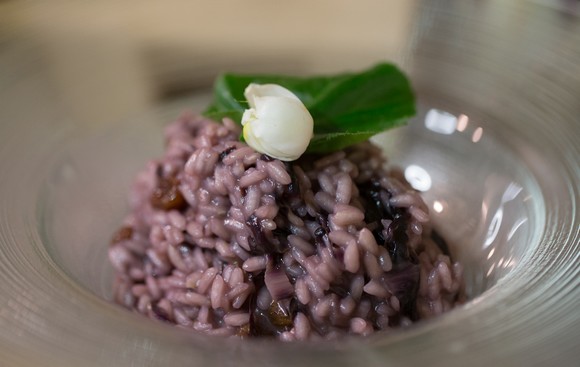 massimo sgobba risotto con radicchio zenzero uva sultanina580